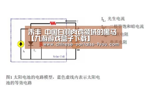 禾丰 中国白羽肉鸡领域的黑马【九游游戏盒子下载】(图1) 九游官网下载