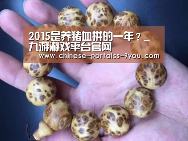 2015是养猪血拼的一年?_九游游戏平台官网(图2) 九游游戏盒子下载