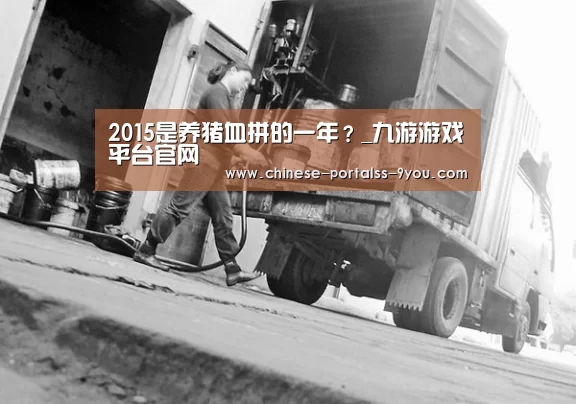 2015是养猪血拼的一年?_九游游戏平台官网(图3) 九游游戏中心手机版