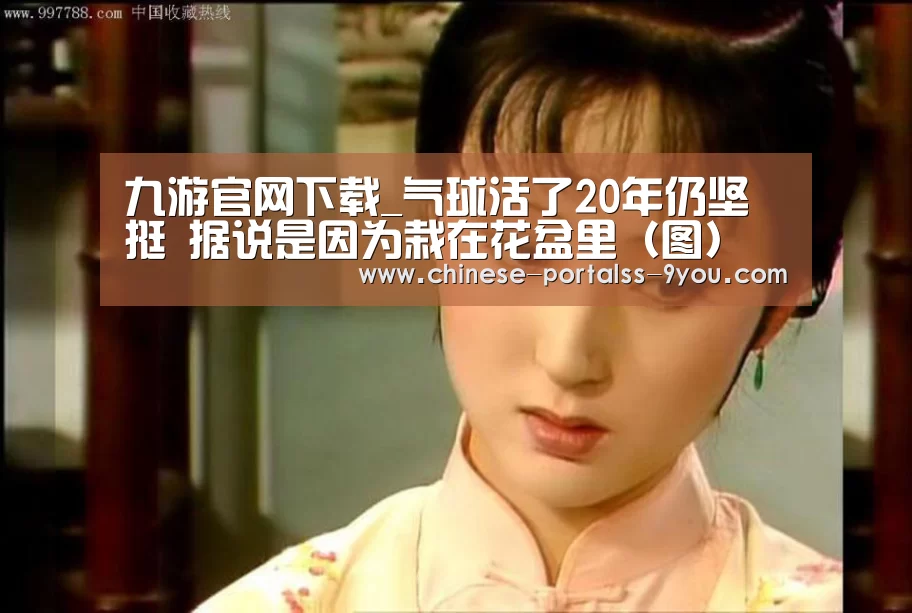 九游官网下载_气球活了20年仍坚挺 据说是因为栽在花盆里(图)(图2) 九游游戏中心手机版